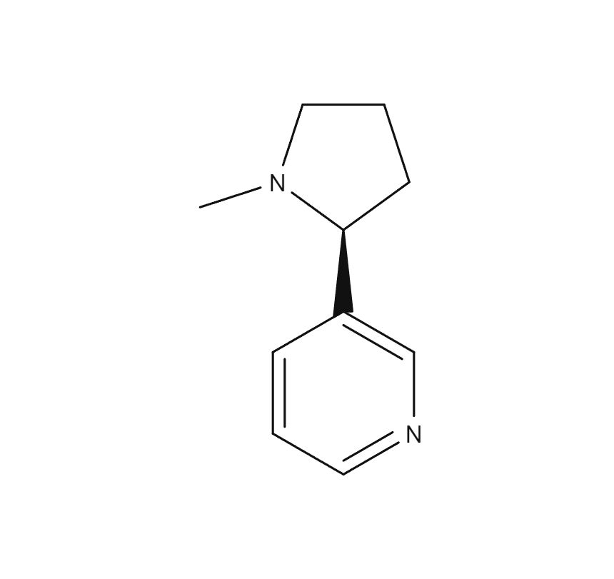 Nicotine Molecule Structure